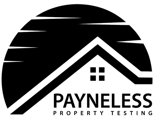 Logo | Payneless Industries