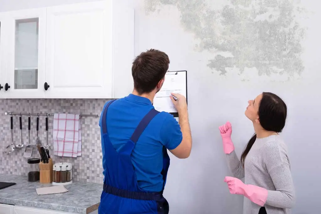Residential Mold Inspections