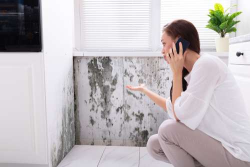 Mold Inspections for Rental Properties